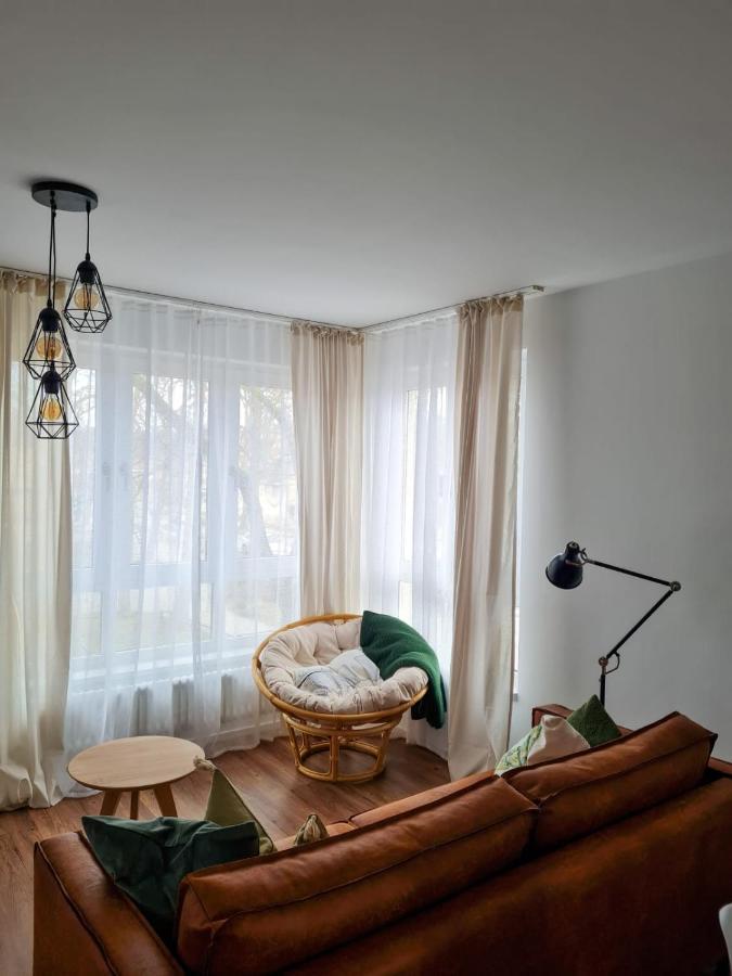 באד סארואו Ferienwohnung Maja-Katharina מראה חיצוני תמונה